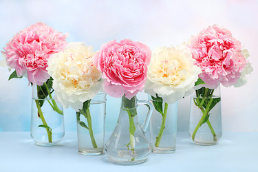 Similar image 22058403