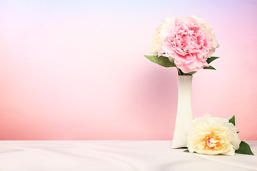 Similar image 22058404