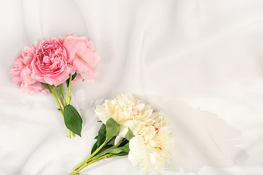 Similar image 22058405