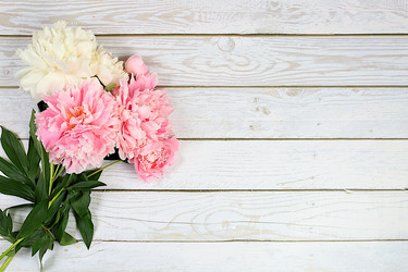 Similar image 22058408