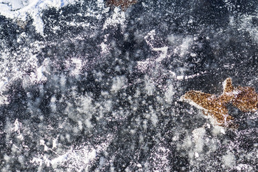 Similar image 22058409