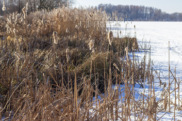 Similar image 22058414