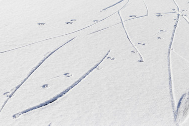 Similar image 22058418