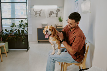 Similar image 22036201