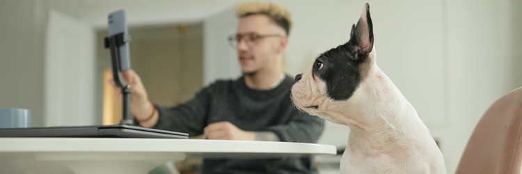 Similar image 22033317