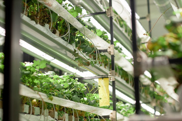 Similar image 22033699