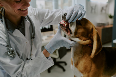 Similar image 22036226