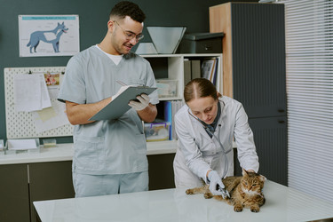 Similar image 22036149