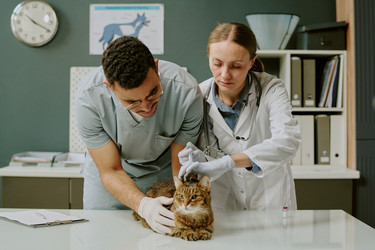 Similar image 22036244