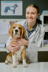 Similar image 22036163