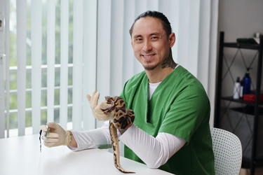 Similar image 22035026