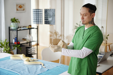 Similar image 22034993