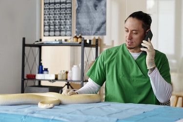 Similar image 22035019