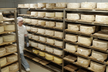 Similar image 22034268