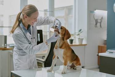 Similar image 22036225