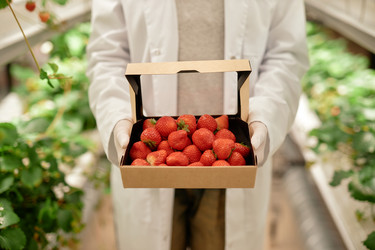 Similar image 22033698