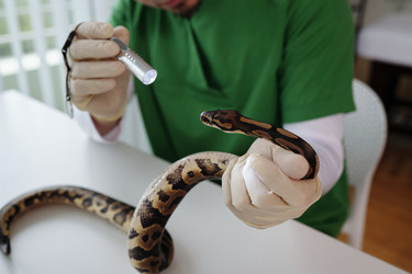 Similar image 22034943