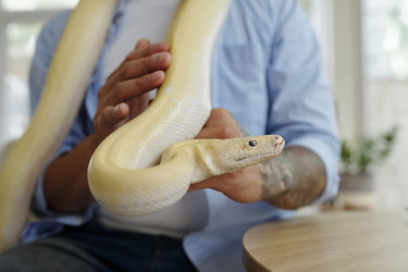 Similar image 22034959