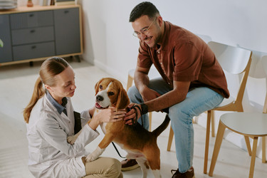 Similar image 22036197