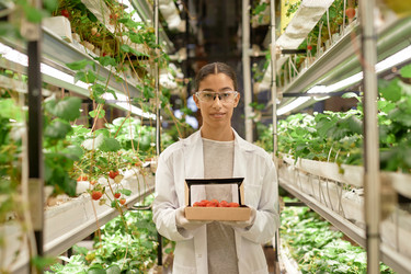 Similar image 22033785