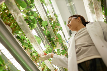 Similar image 22033746