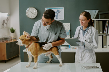 Similar image 22036233