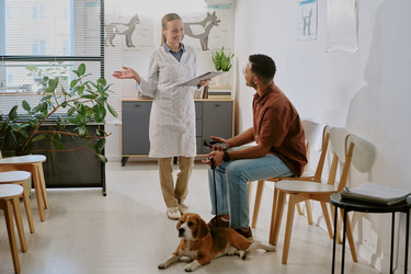 Similar image 22036202