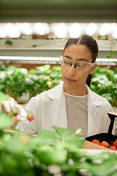 Similar image 22033764