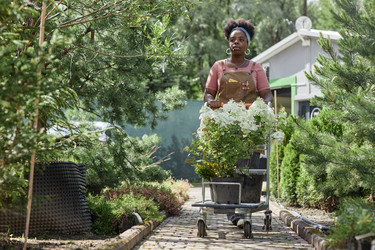 Similar image 22033033