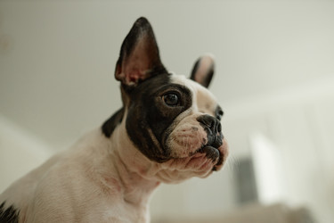 Similar image 22033255