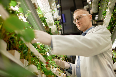 Similar image 22033728