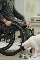 Similar image 22033277