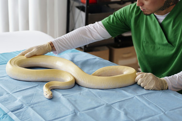 Similar image 22035008