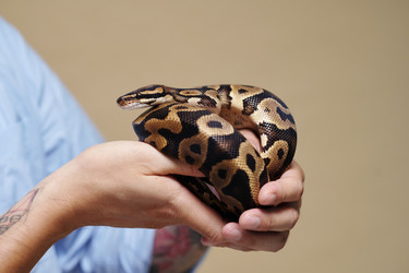 Similar image 22035032