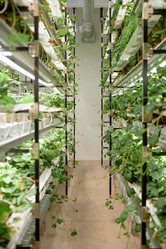 Similar image 22033705