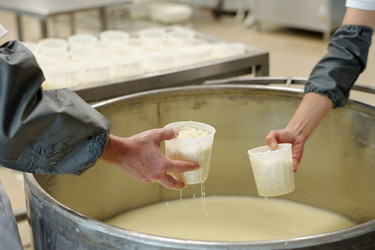 Similar image 22034326