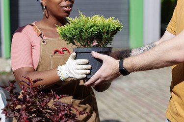 Similar image 22032996