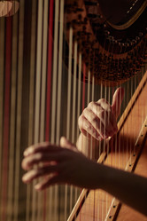 Similar image 22033576