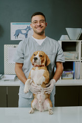 Similar image 22036228