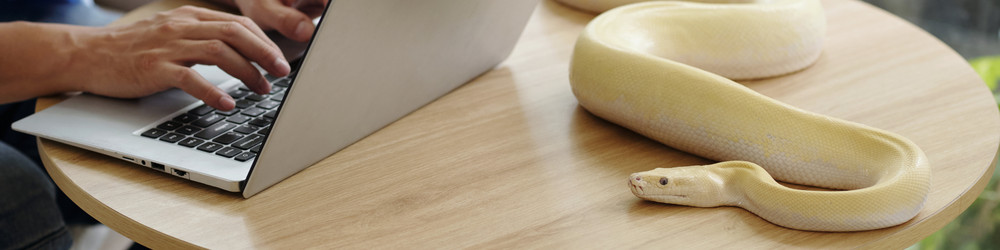 Similar image 22034932