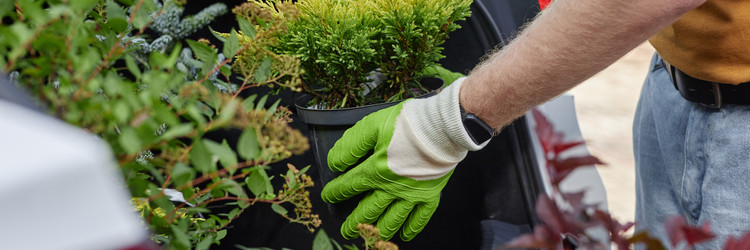 Similar image 22033059