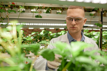 Similar image 22033715