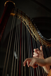 Similar image 22033540