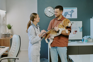 Similar image 22036211