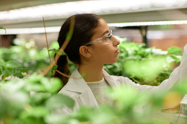 Similar image 22033739