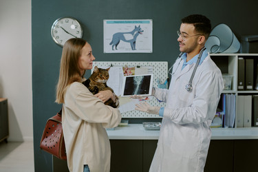 Similar image 22036181