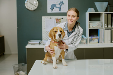 Similar image 22036160