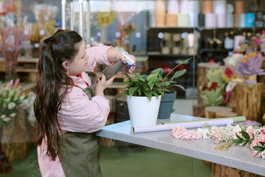 Similar image 22035879