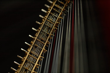 Similar image 22033544