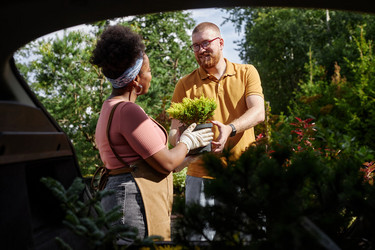 Similar image 22032999